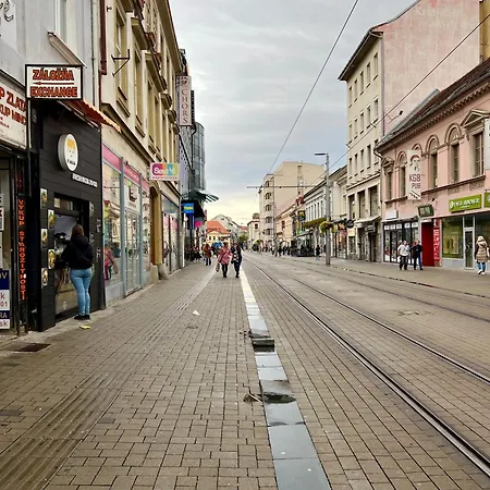 Cozy Urban House Daire Bratislava
