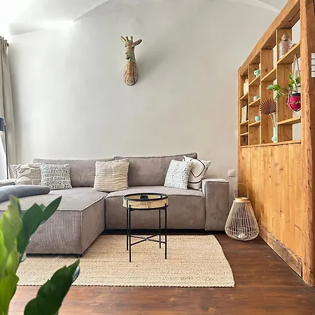 Cozy Urban House