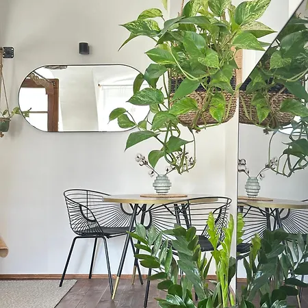 Cozy Urban House Apartment